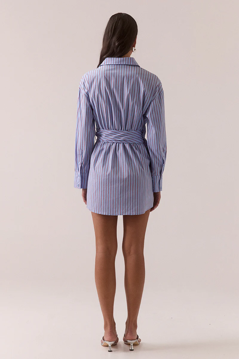 TAVEN SHIRT DRESS - CORNFLOWER STRIPE - Image 4